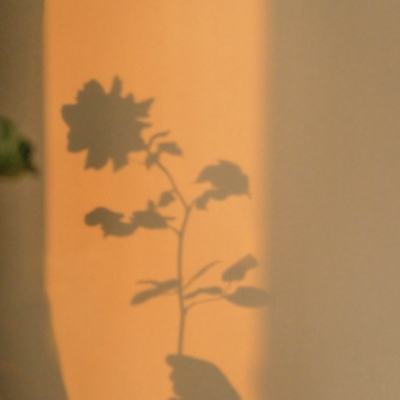 百姓彩票下载手机版