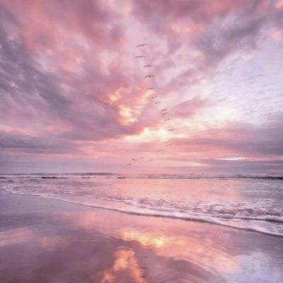 188金宝搏app下载