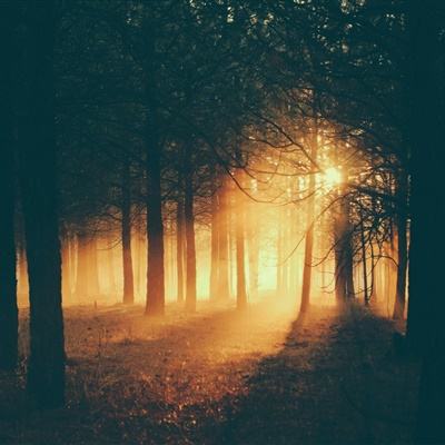 ag入口官网登录下载手机版