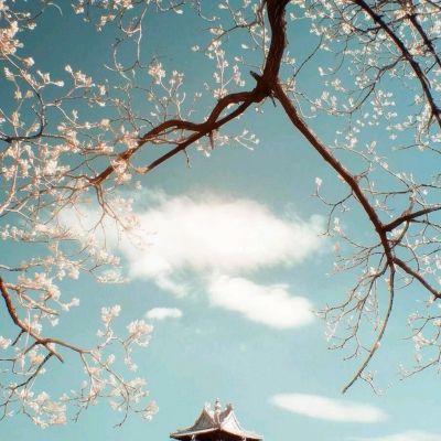 澳门捕鱼平台网页游戏在线app官方入口