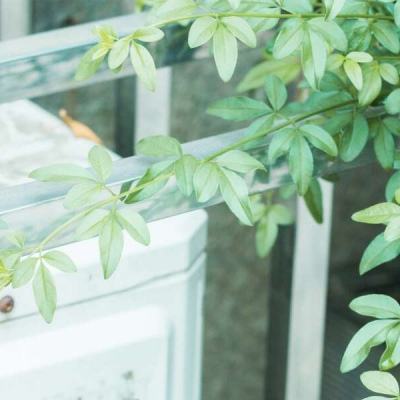 开云·kaiyun体育下载手机版