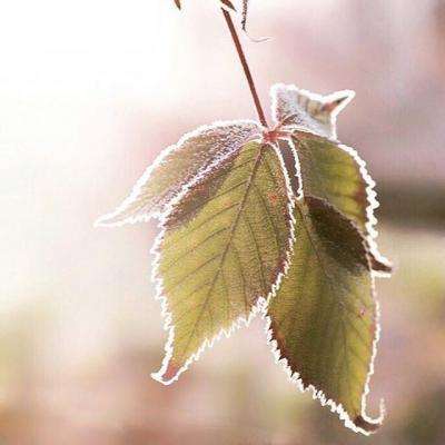 皇冠正规娱乐平台(官方)